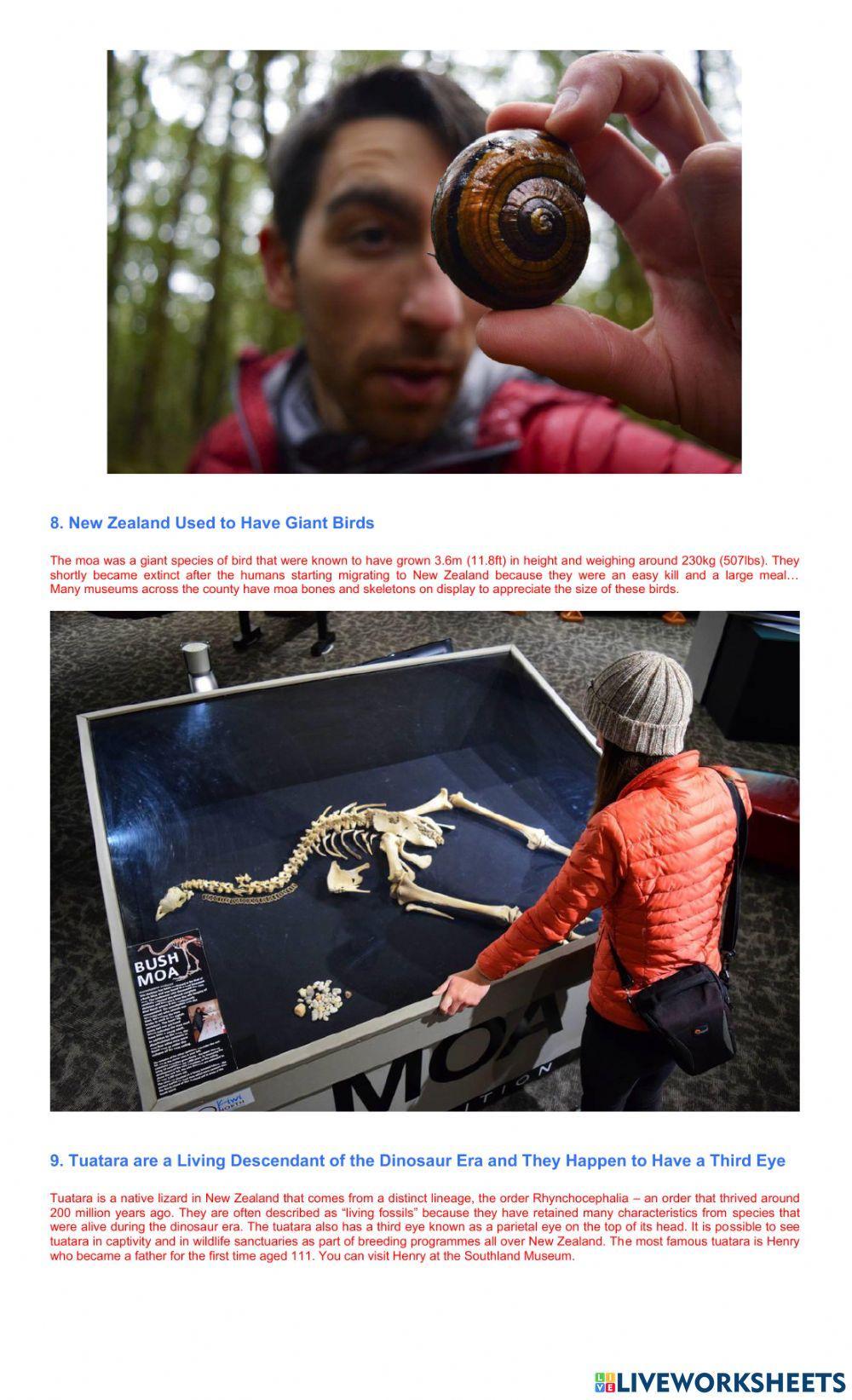 Ten Fun Facts About Wildlife in New Zealand