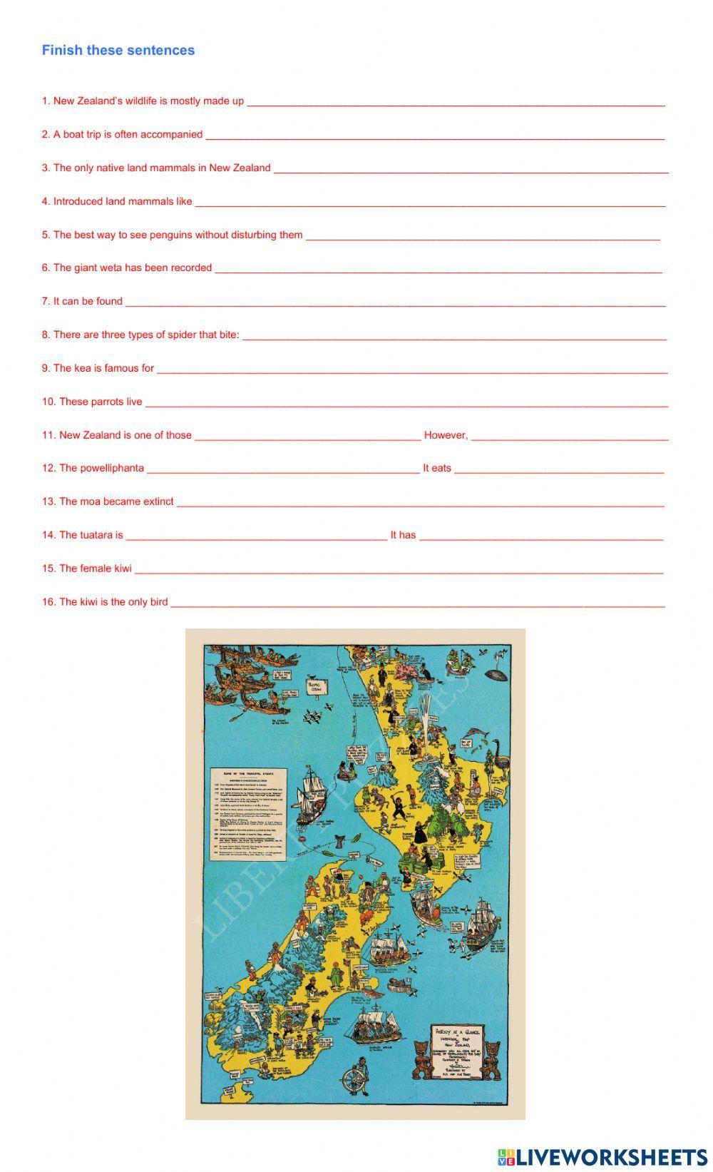 Ten Fun Facts About Wildlife in New Zealand