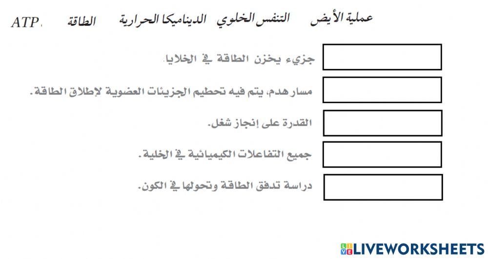 الطاقة الخلوية