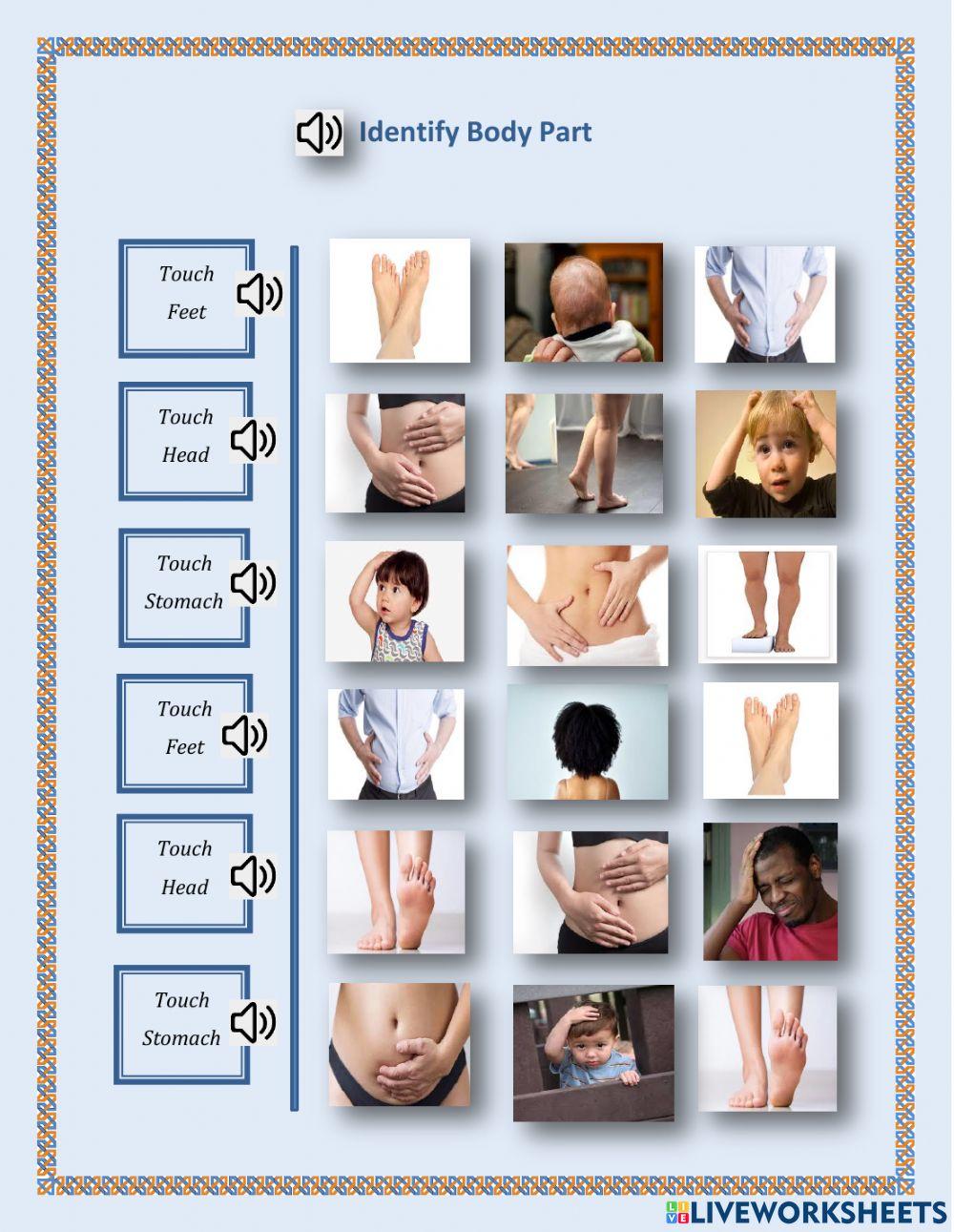 Identify body part - head, feet, stomach - George (1.01), Dashly (1.03)