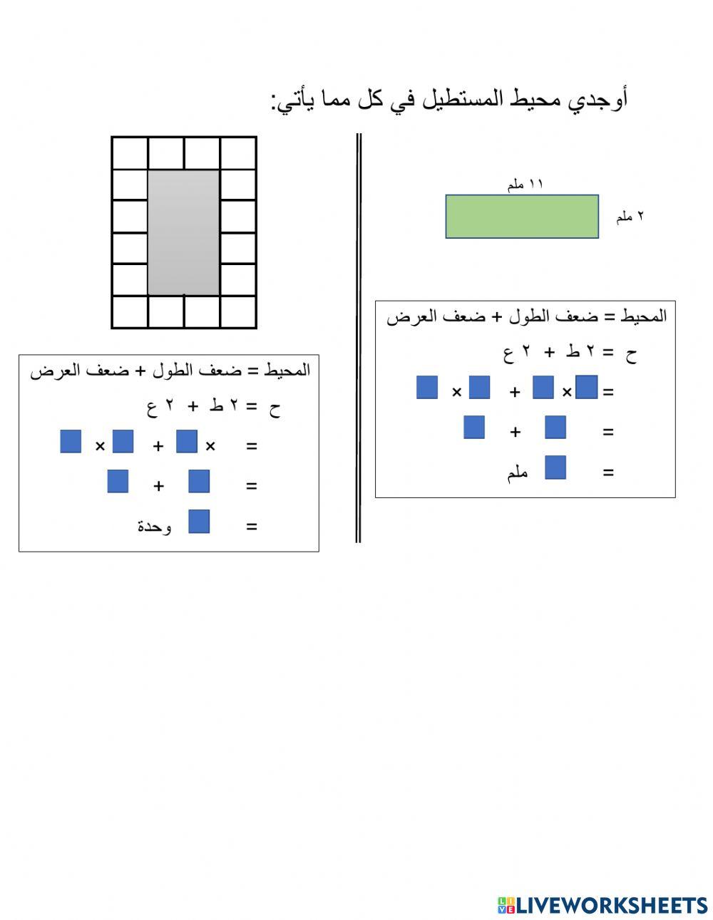 محيط المستطيل