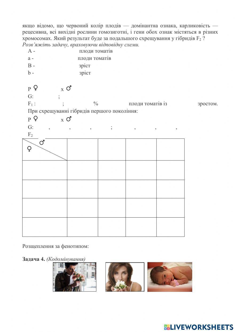 Практична робота 2. Розв'язання типових генетичних задач
