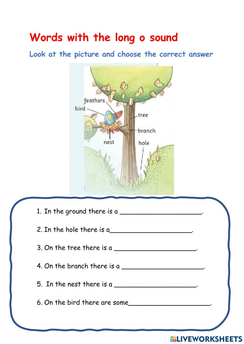 Words and Sound worksheet | Live Worksheets