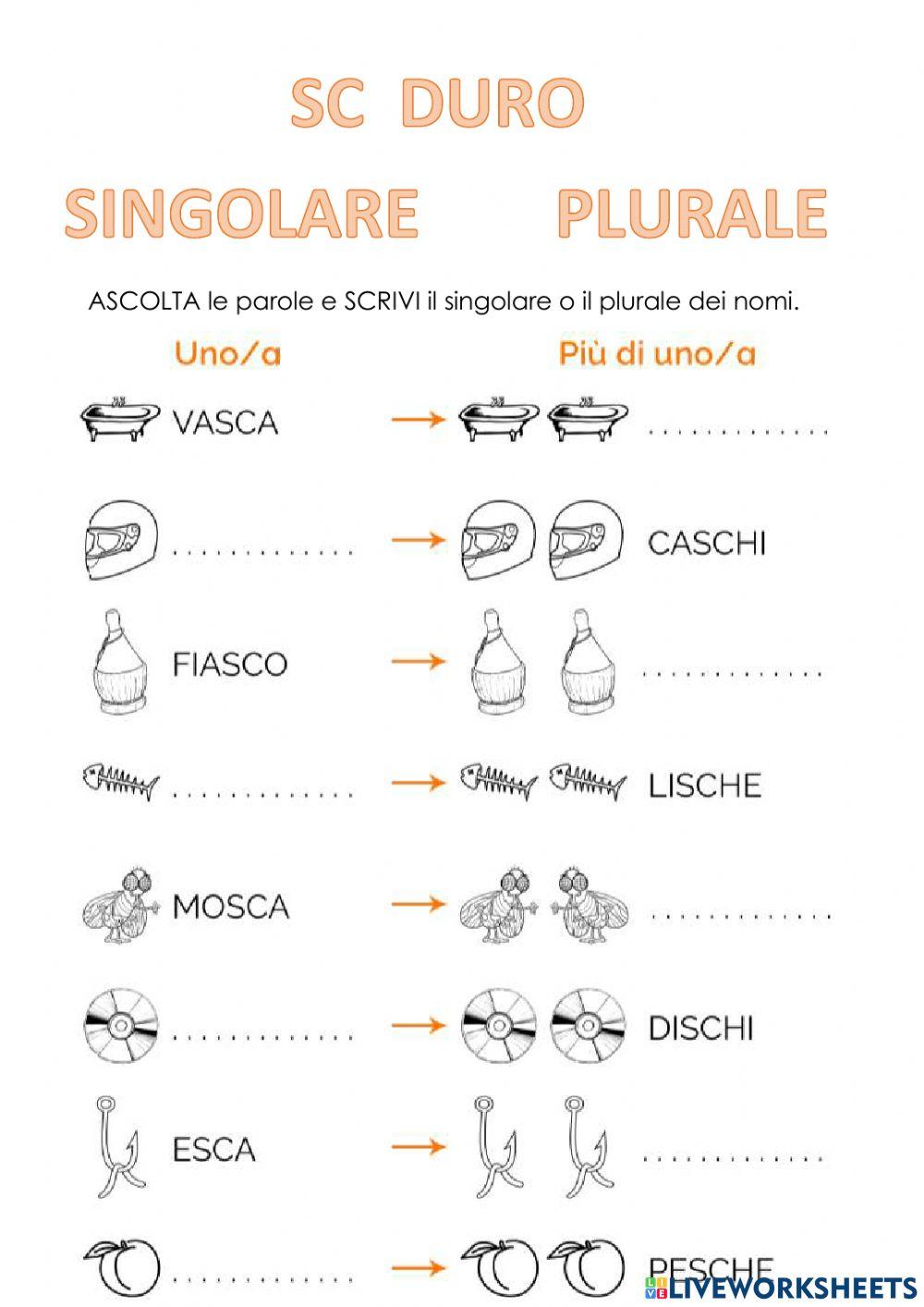 Sc duro singolare o plurale
