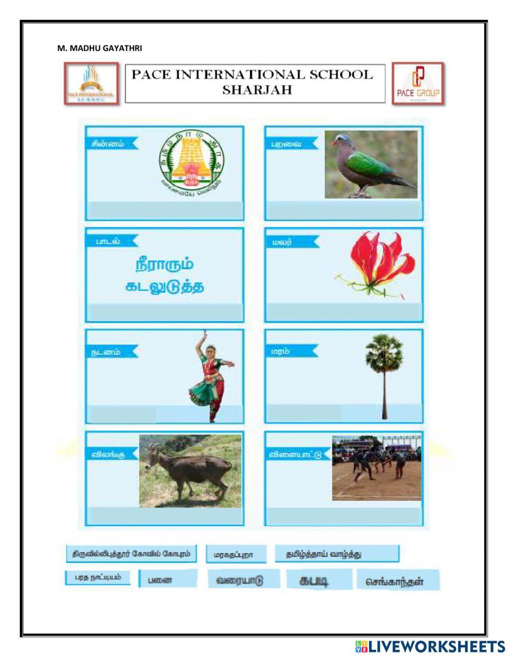 765156 National Symbols Of Tamil Nadu Gayu 765156-national-symbols-of-tamil-nadu-gayu