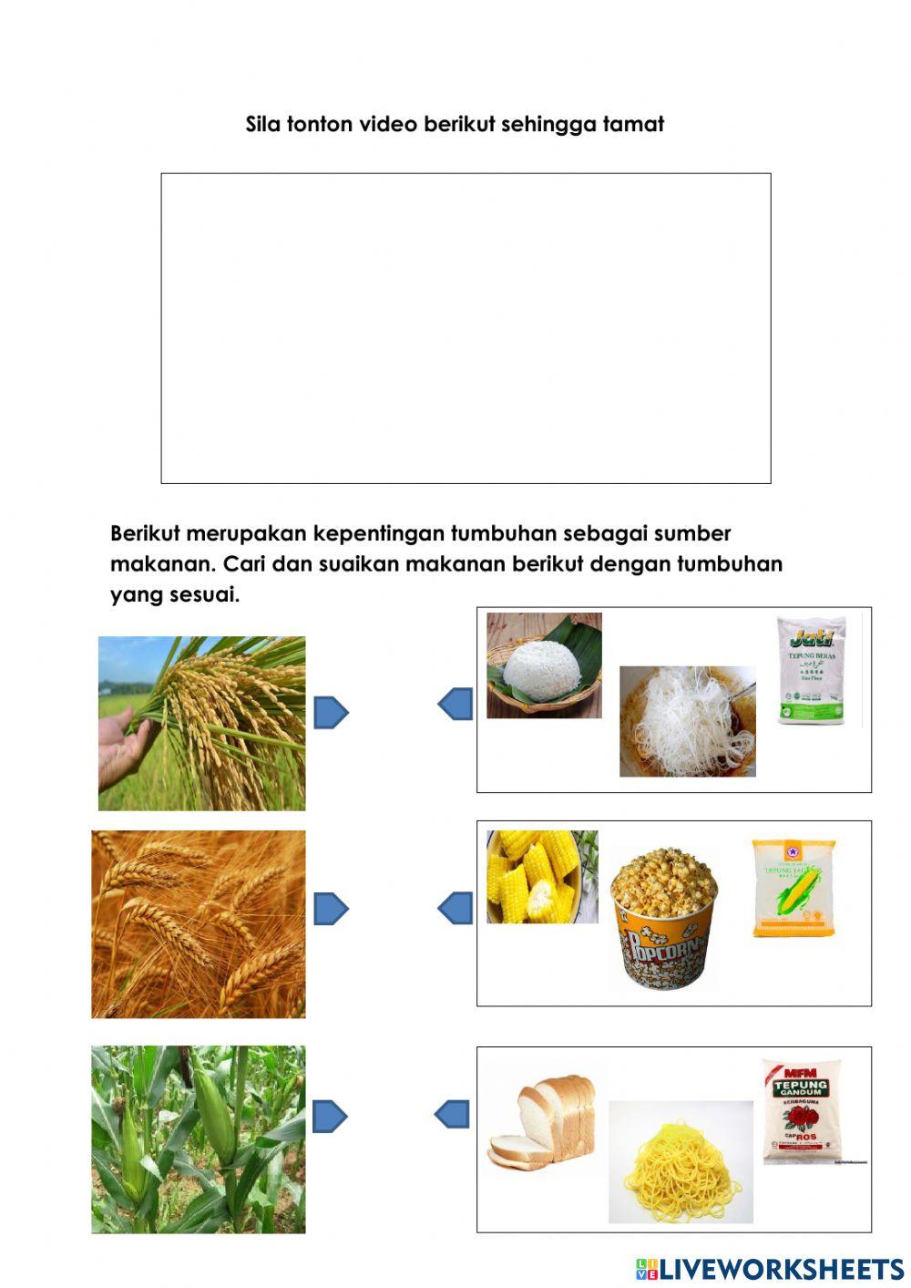 PSSAS TING 1:TUMBUHAN 2-Cikgu Hawa