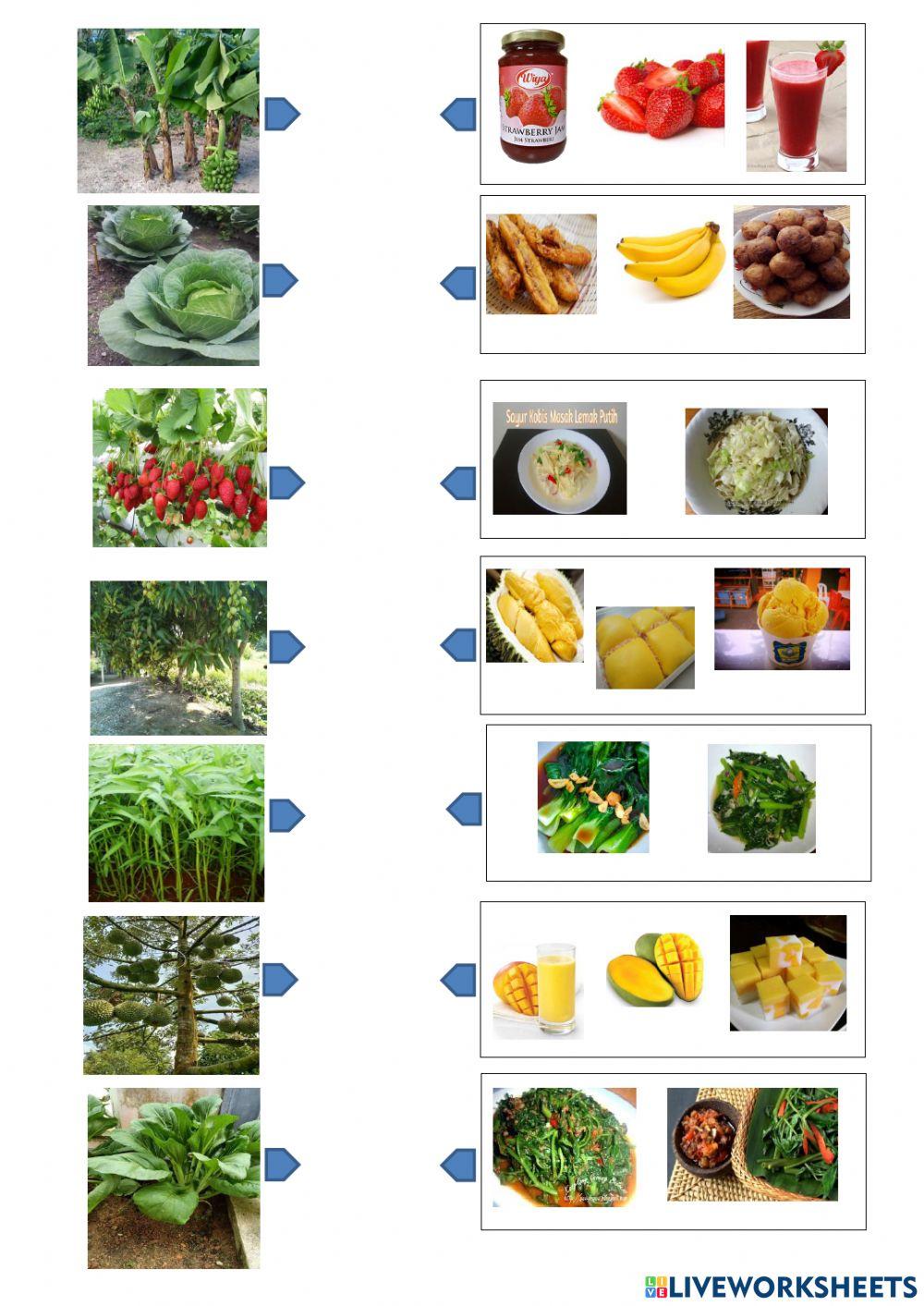 PSSAS TING 1:TUMBUHAN 2-Cikgu Hawa