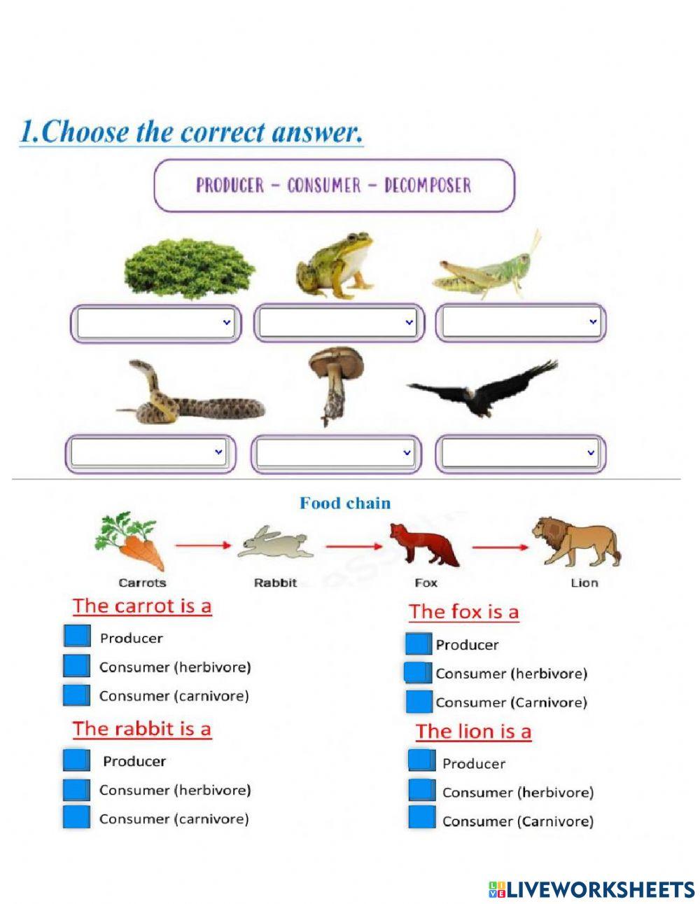 How do organisms get energy?