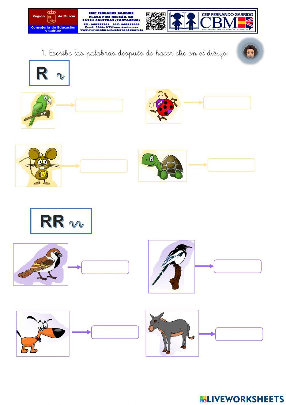 Discriminación Auditiva (R)