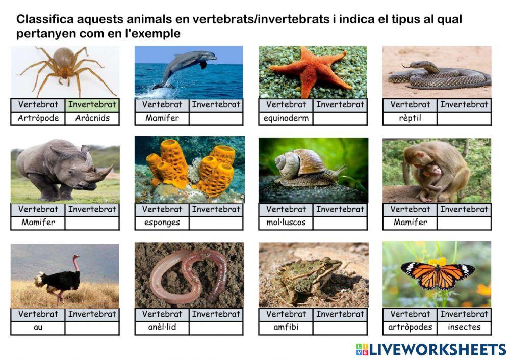 Animals vertebrats i invertebrats