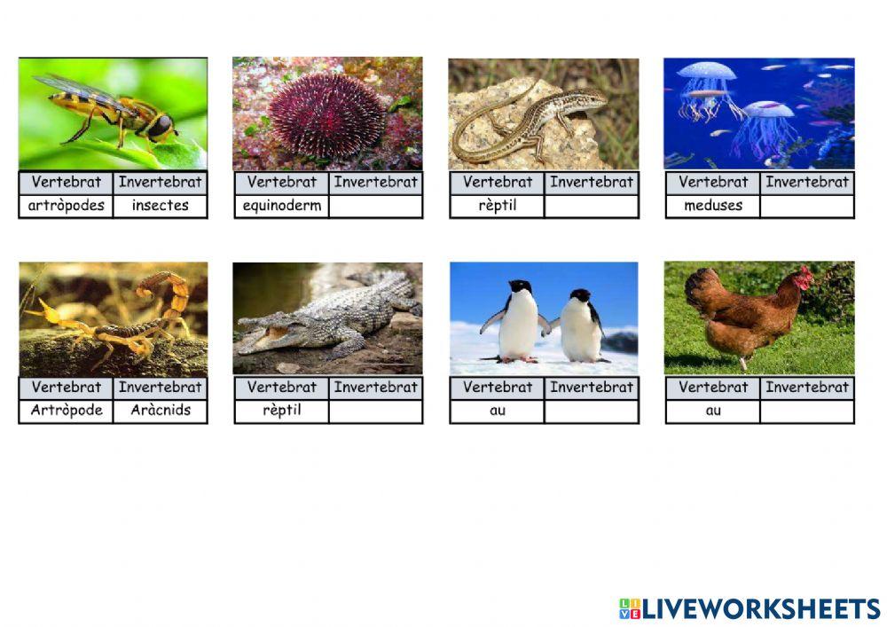 Animals vertebrats i invertebrats