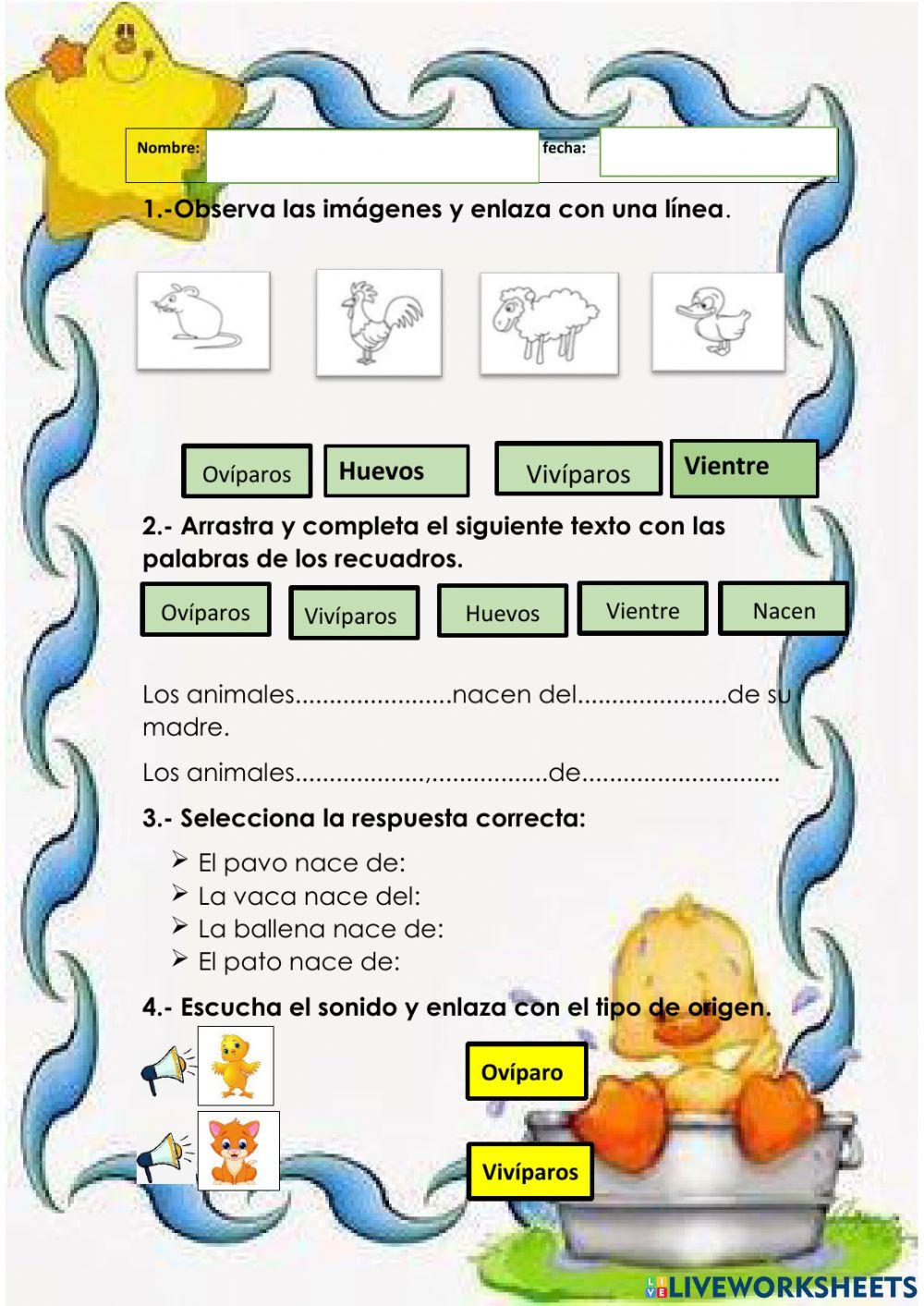 Animales según su origen.