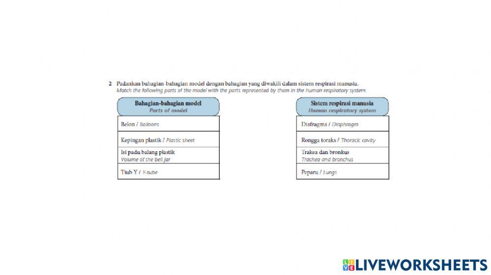 2.1 Sistem respirasi manusia part 2