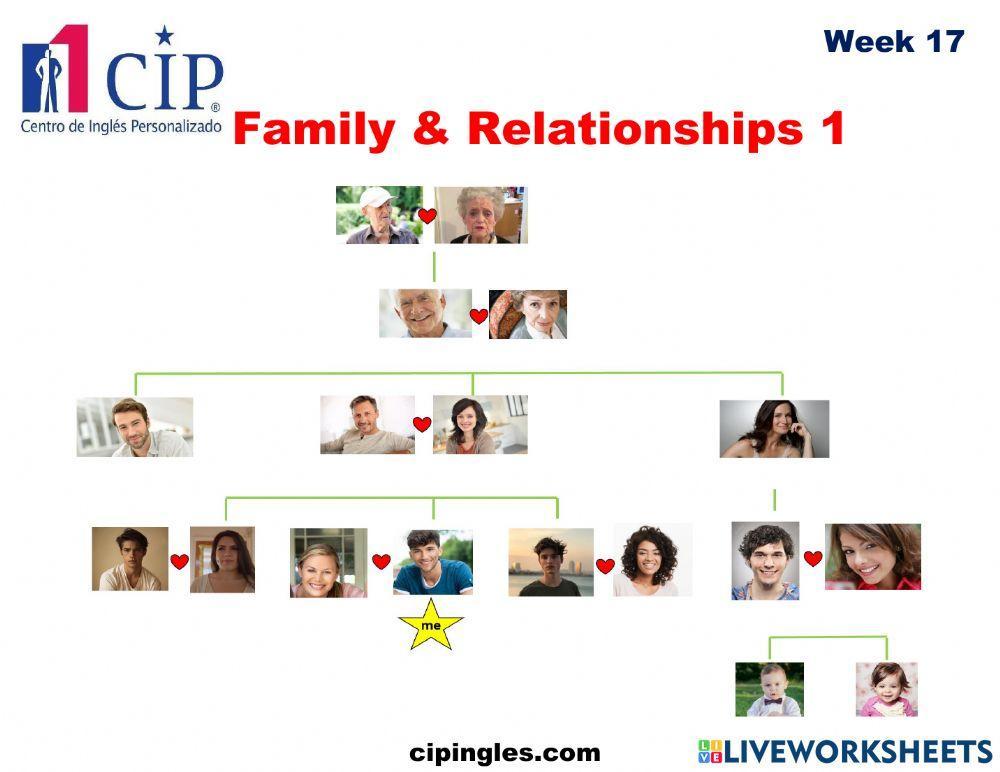Verbs and Family & Relationships Week 17