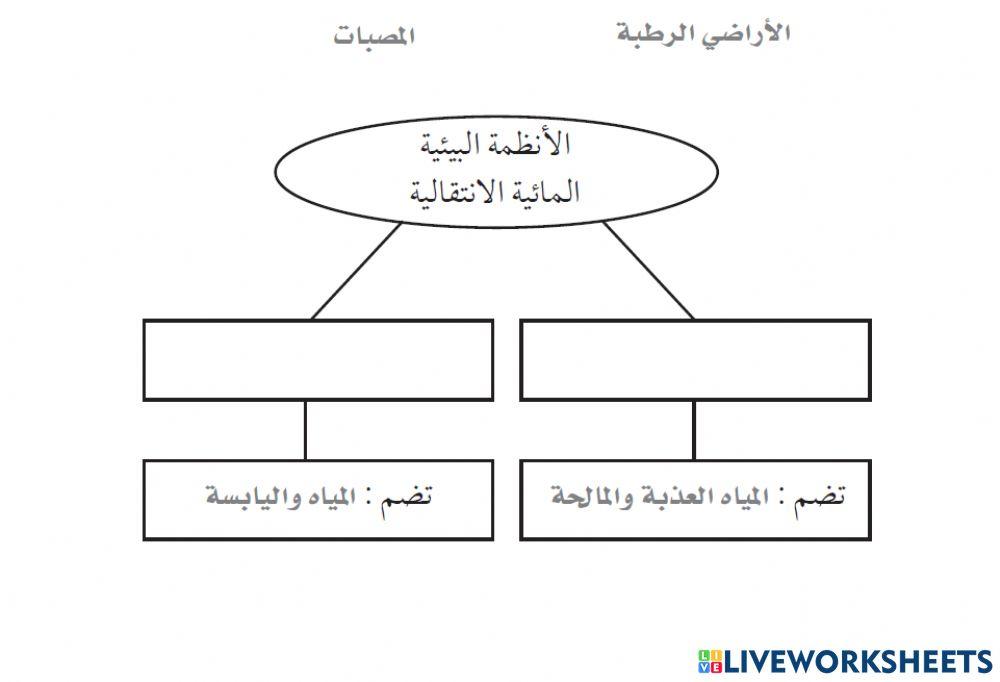 المياه الانتقالية
