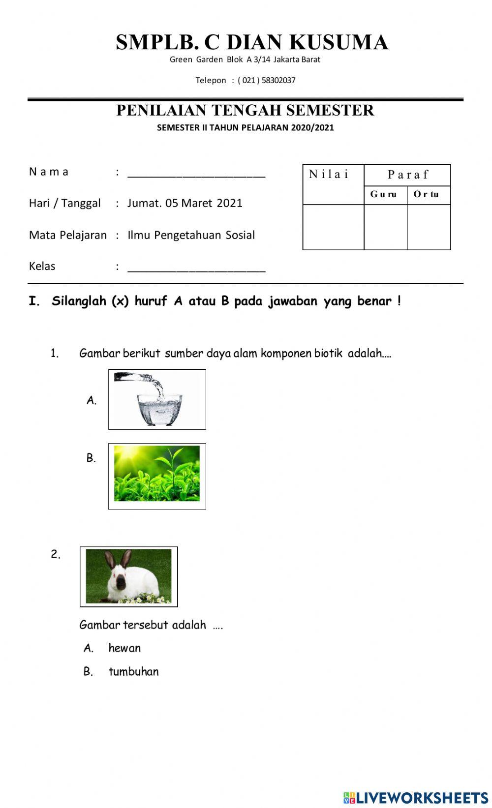 Ilmu Pengetahuan Sosial