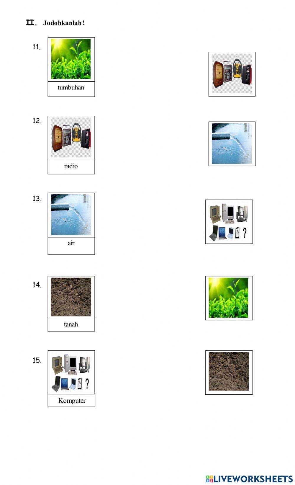 Ilmu Pengetahuan Sosial