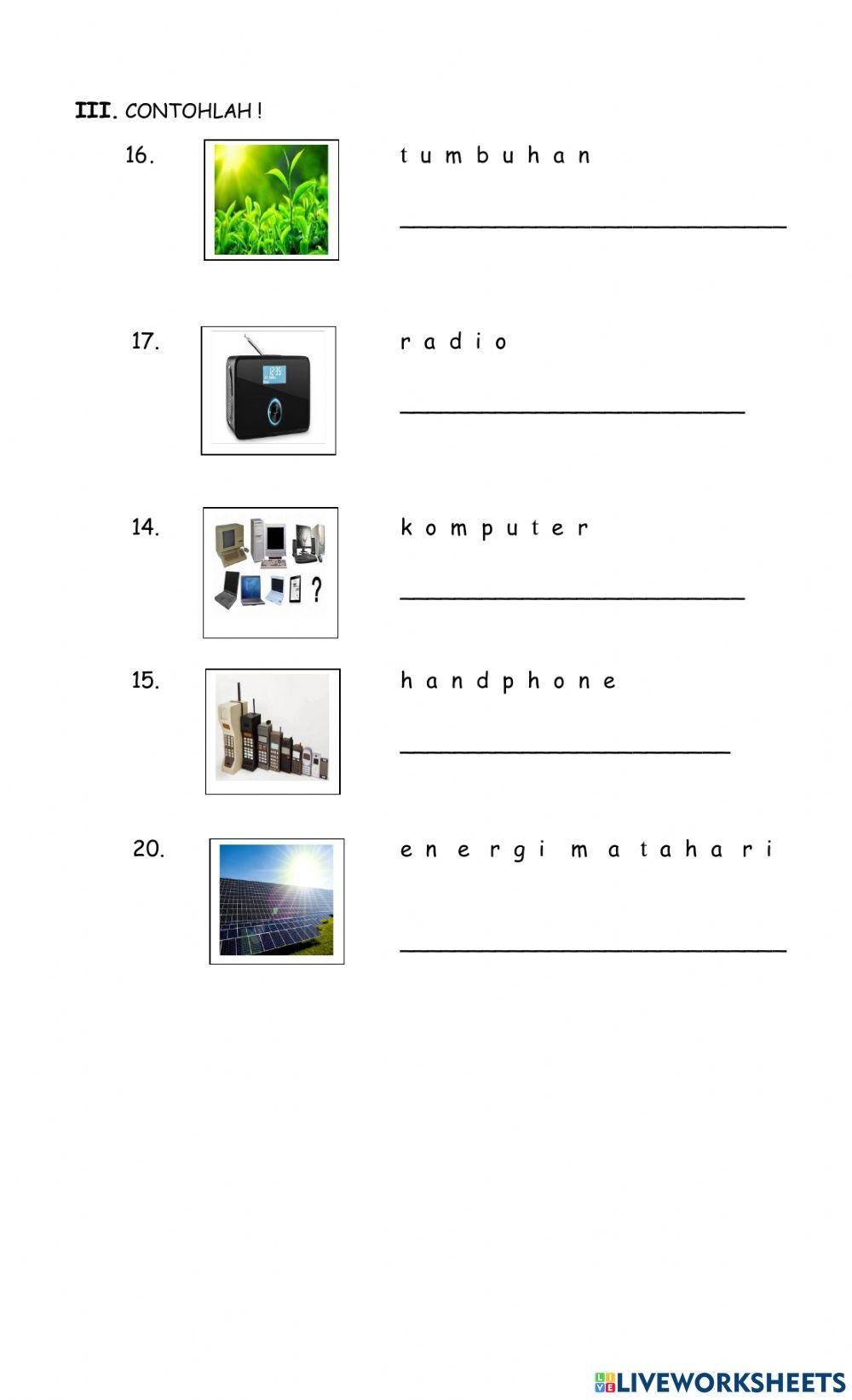 Ilmu Pengetahuan Sosial
