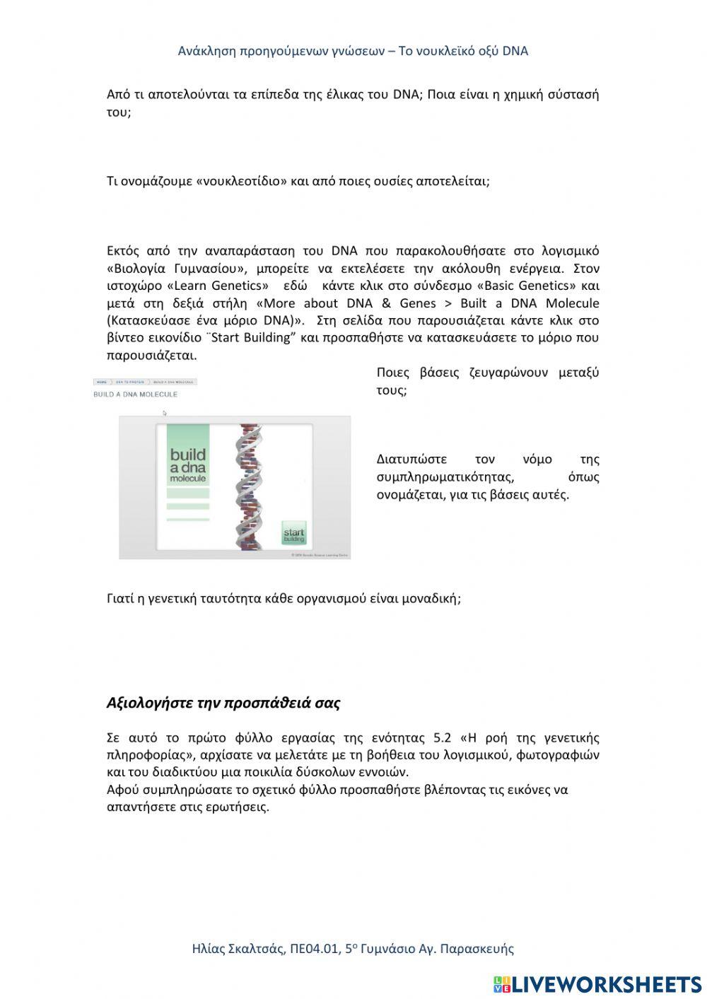 5.2.1 Το Νουκλεϊκό Οξύ DNA