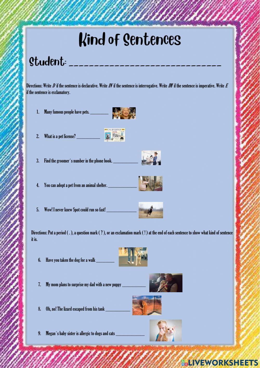 Kinds of senten Free Interactive Worksheets 768051