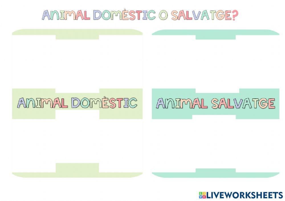 Animals domèstics i salvatges