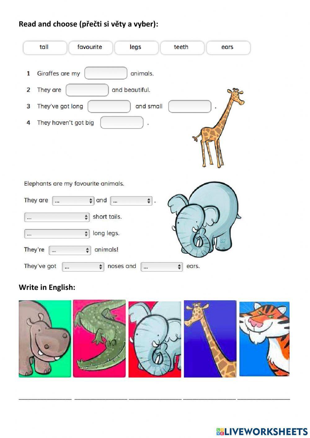 Wild animals - kids box