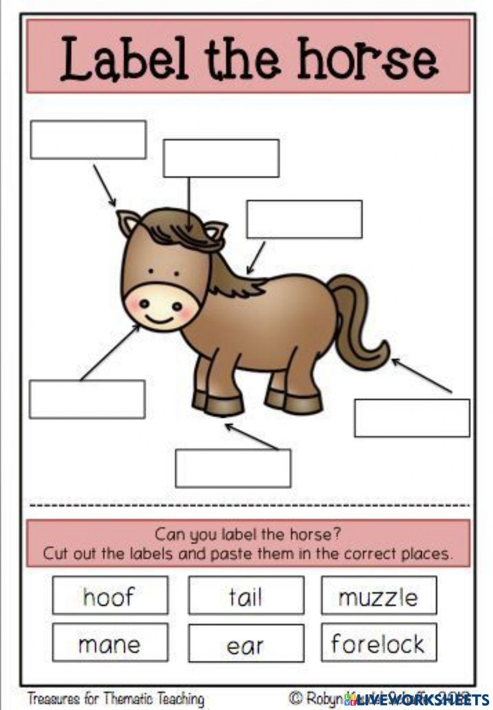 Label Body Parts of a Horse worksheet Live Worksheets