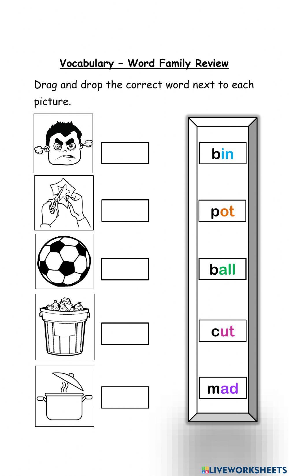 Word Family Review Activity