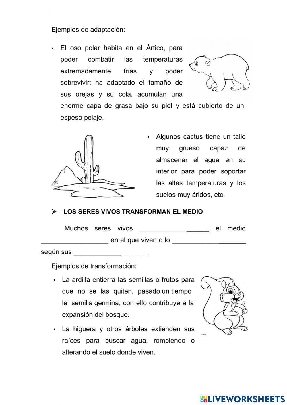 Las relaciones entre los seres vivos y el medio.  Las relaciones de alimentación.