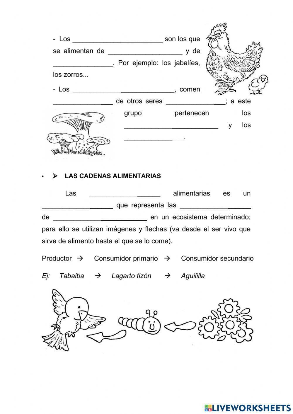 Las relaciones entre los seres vivos y el medio.  Las relaciones de alimentación.