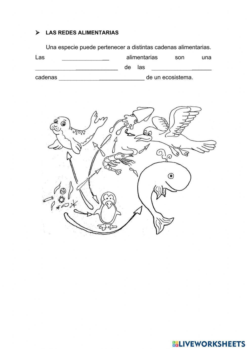 Las relaciones entre los seres vivos y el medio.  Las relaciones de alimentación.