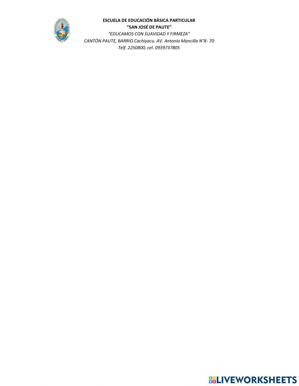 Huesos del cuerpo humano