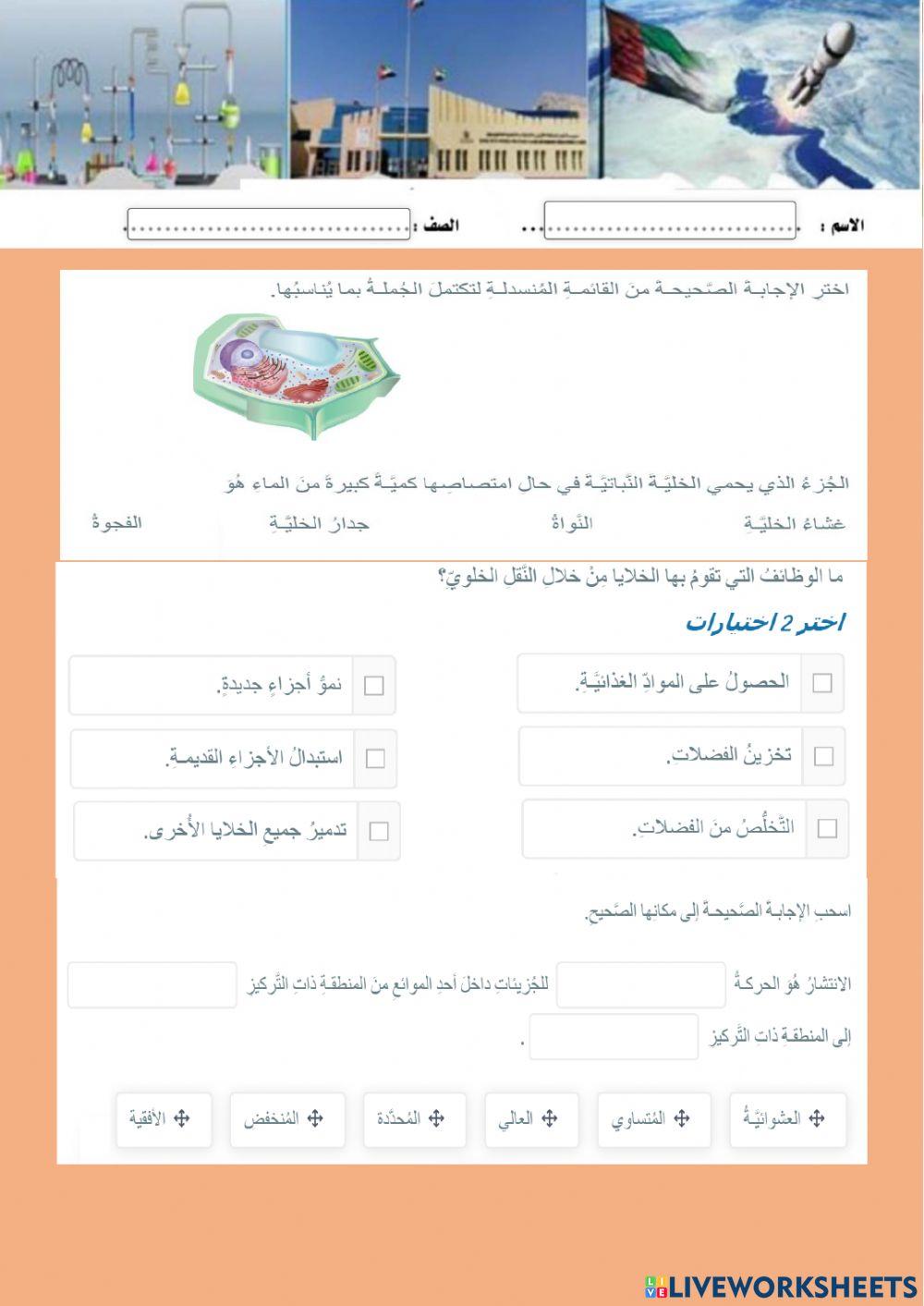 النقل غير النشط