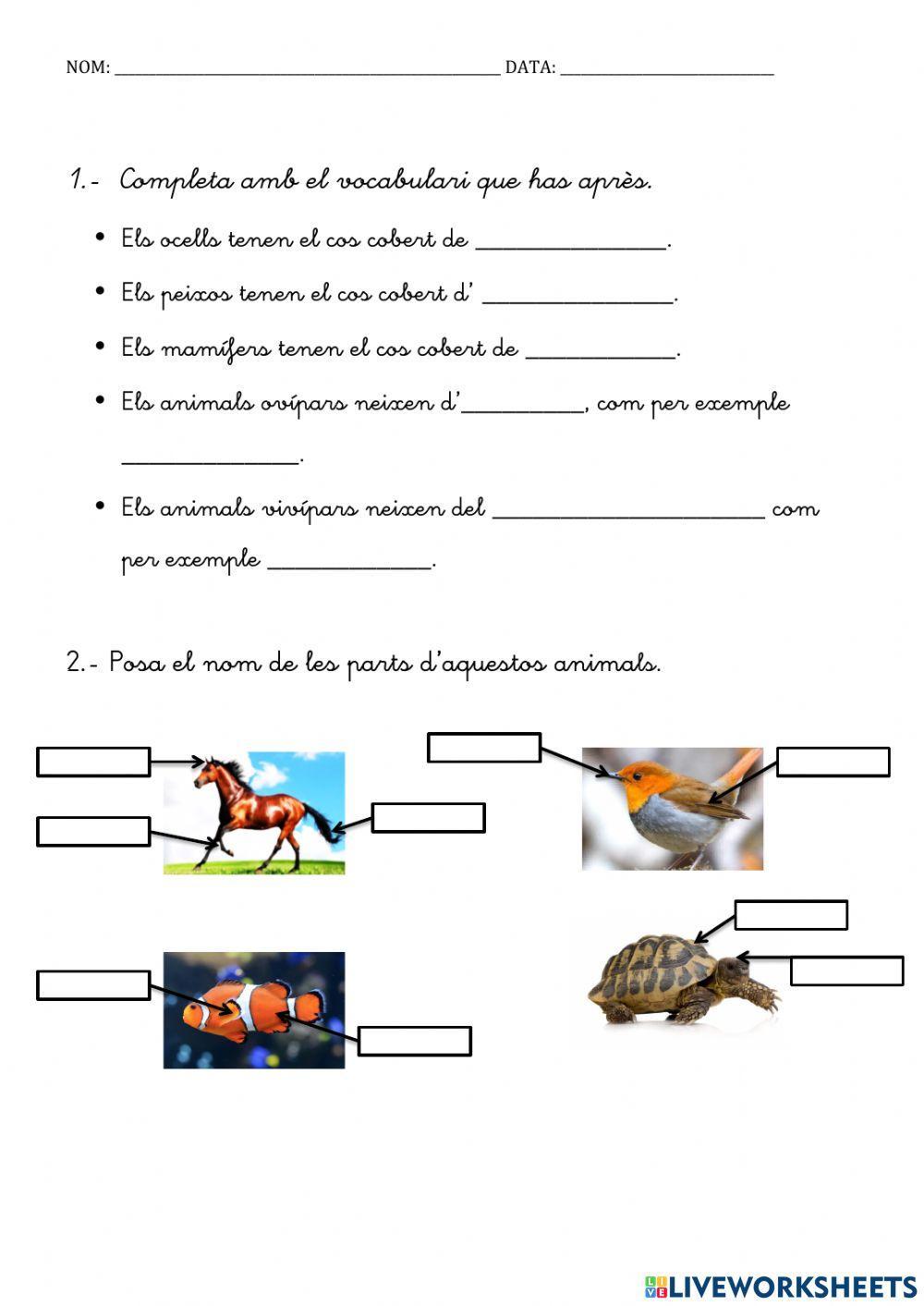 Característiques dels animals