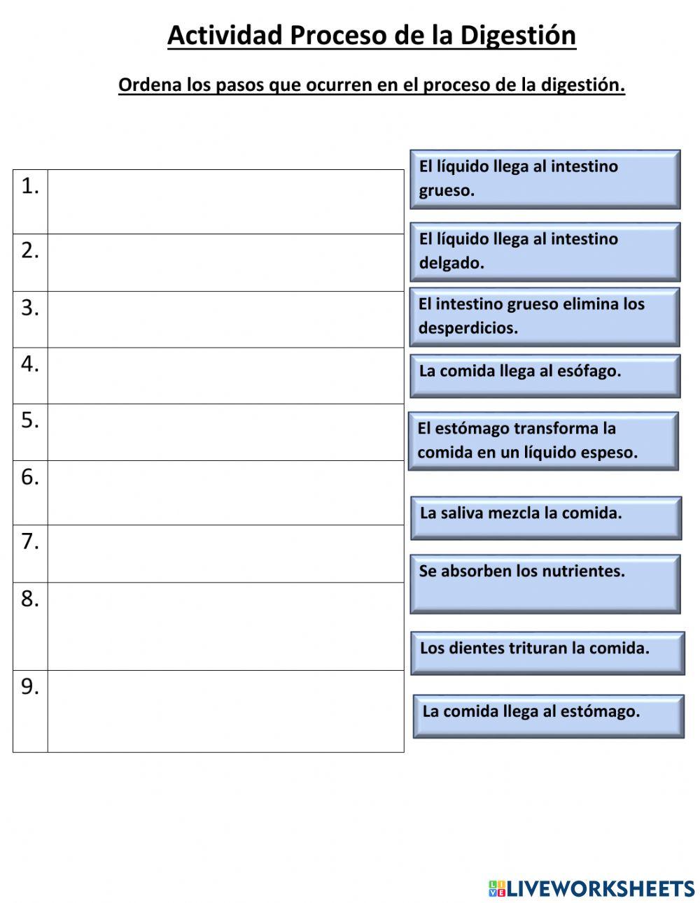 Proceso de la digestión