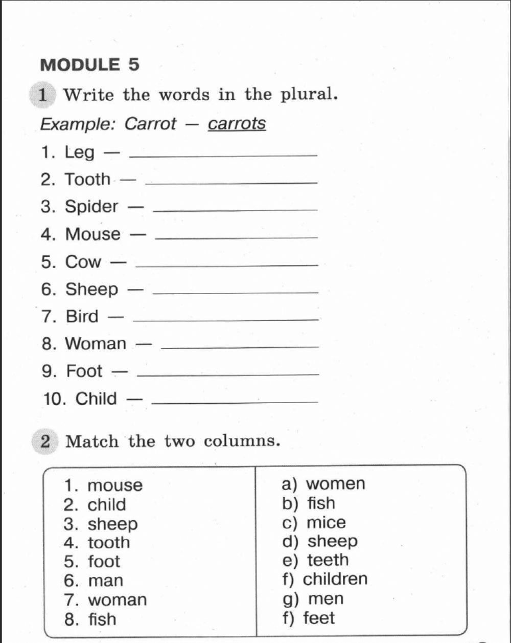 Module 5 Plural Nouns Spotlght 3