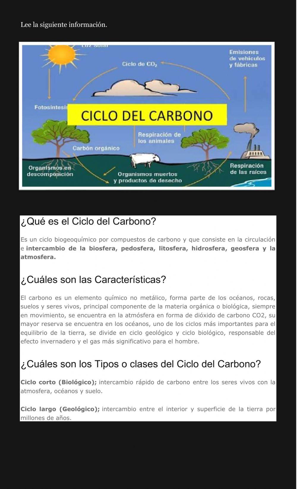 Ciclo del carbono
