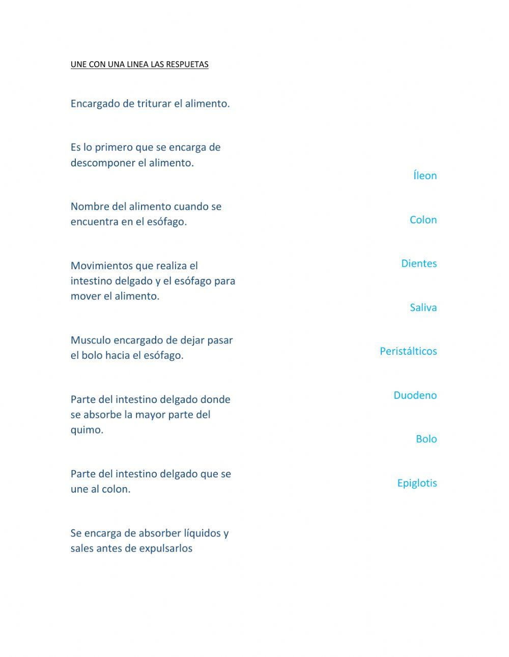 Aparato digestivo 2