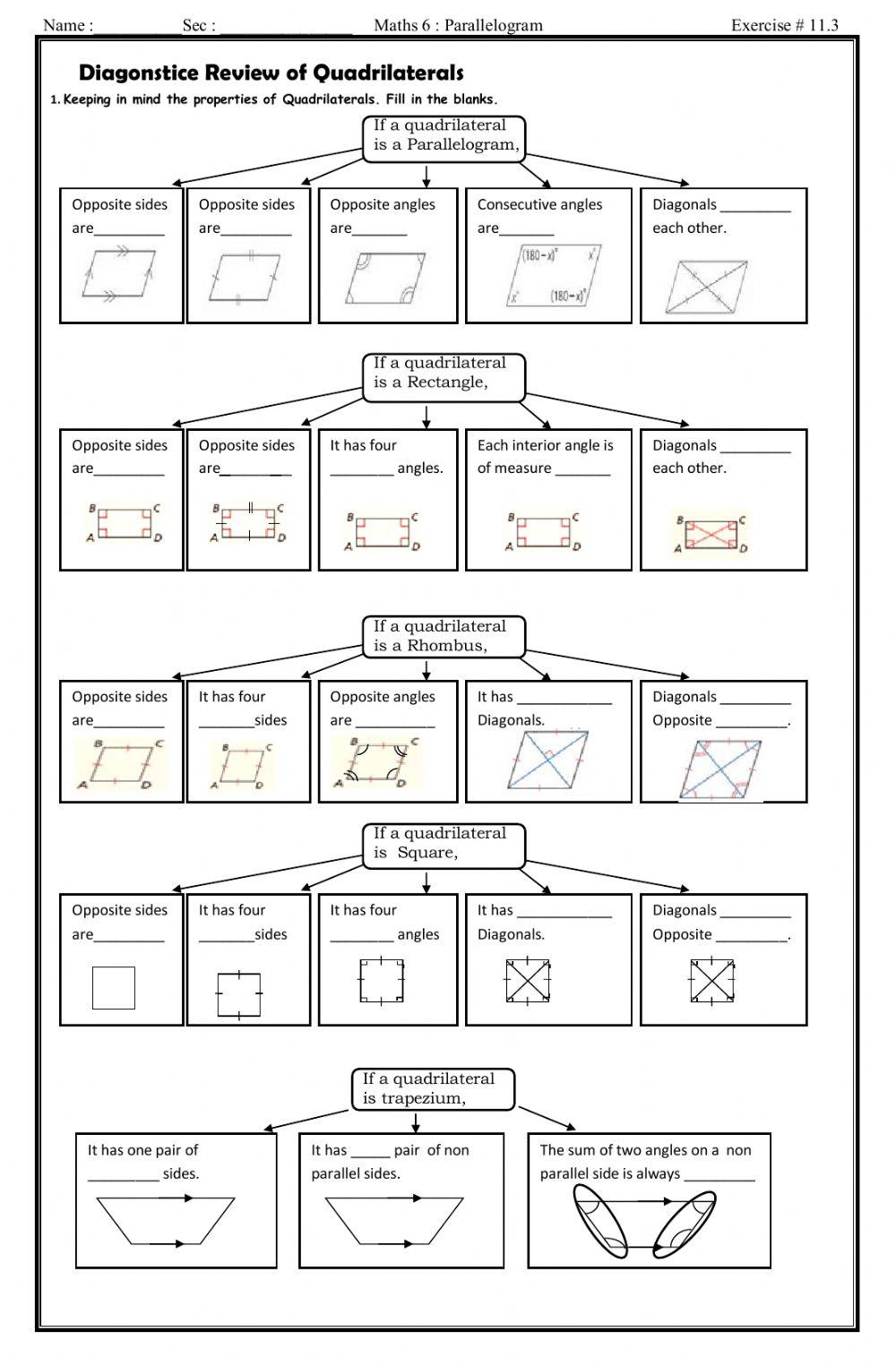 Reinforcement worksheet of paralllogram