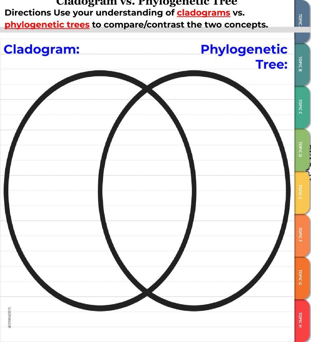 Cladogram vs Phylogenetic Tree Venn Diagram