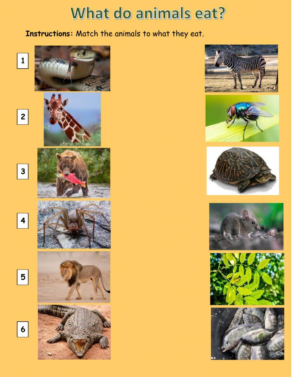 What Do Animals Eat Online Activity Live Worksheets what-do-animals-eat-online-activity-live-worksheets