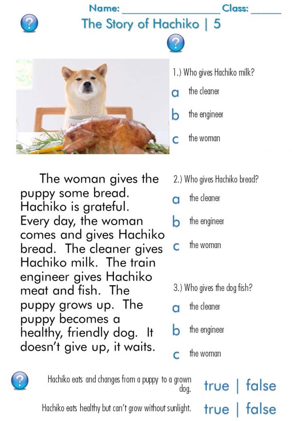 The Story of Hachiko 5