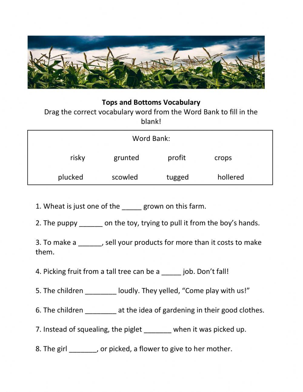 Tops and Bottoms Vocabulary online exercise for Live Worksheets
