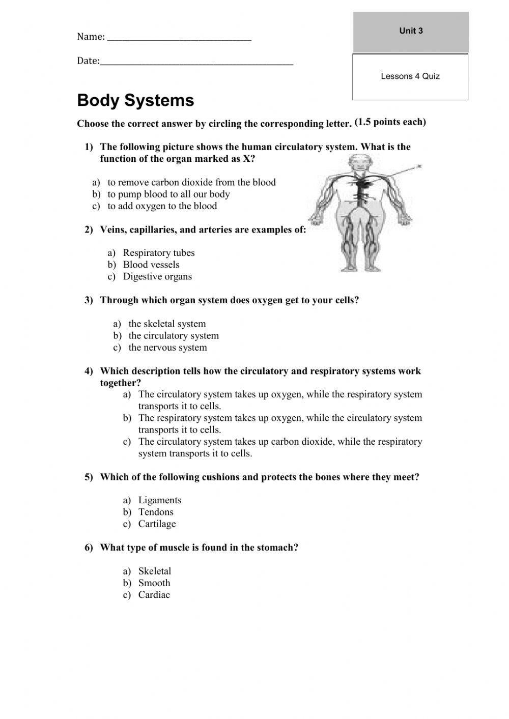 Body Systems Quiz interactive worksheet Live Worksheets
