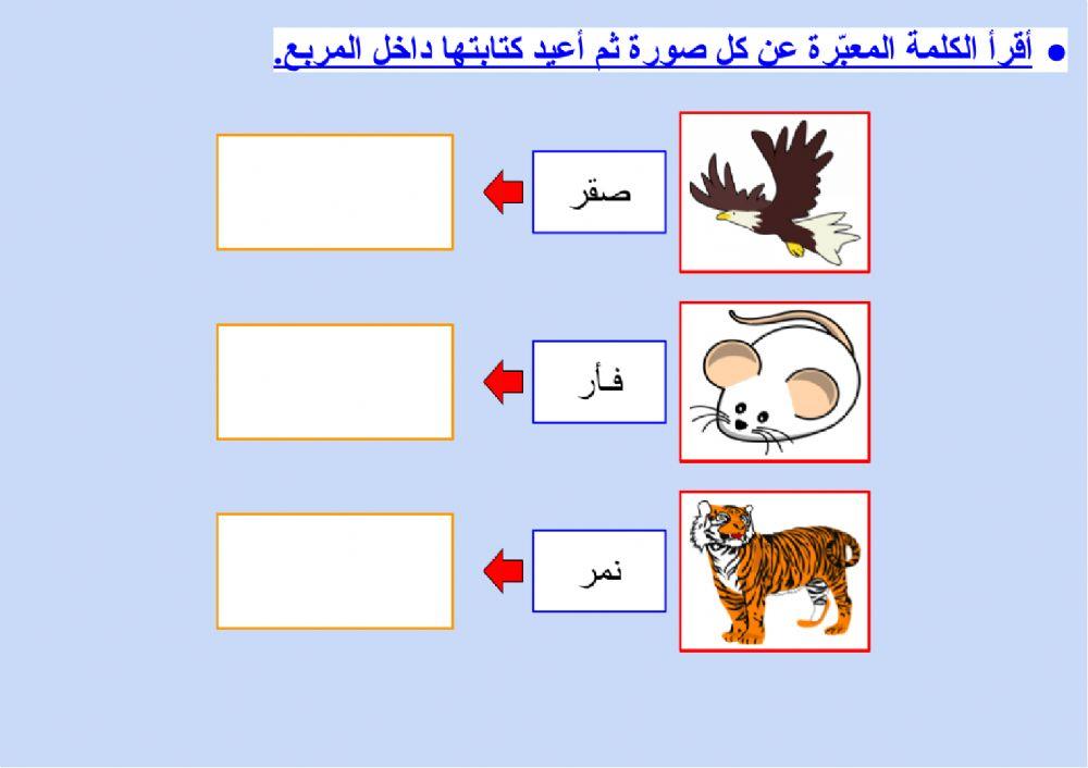 تدريب على كتابة كلمات ثلاثية - ٢