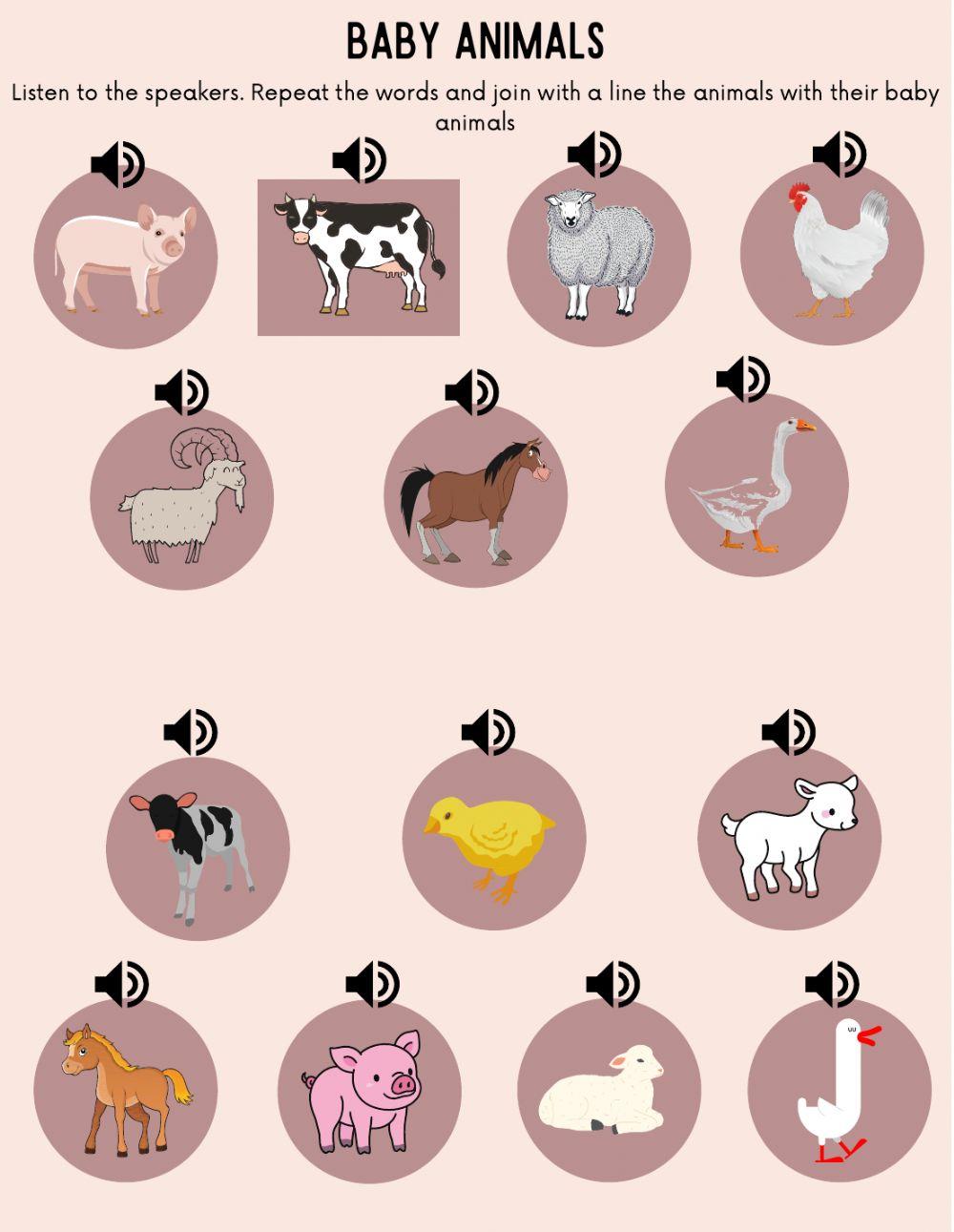 Baby animals Baby animals