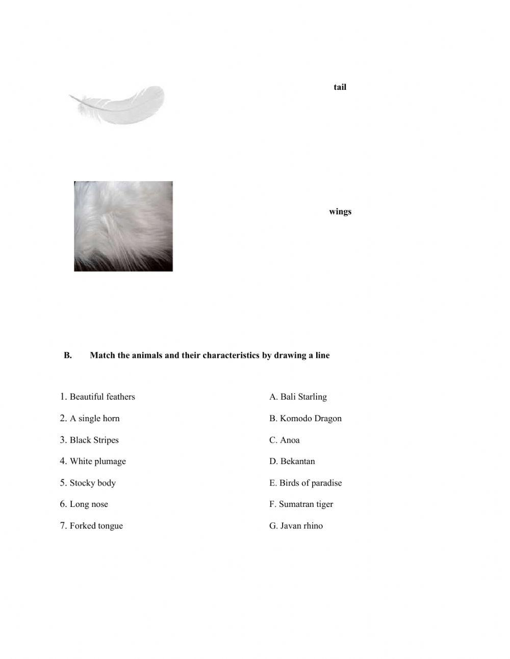 Animal Physical Appearance