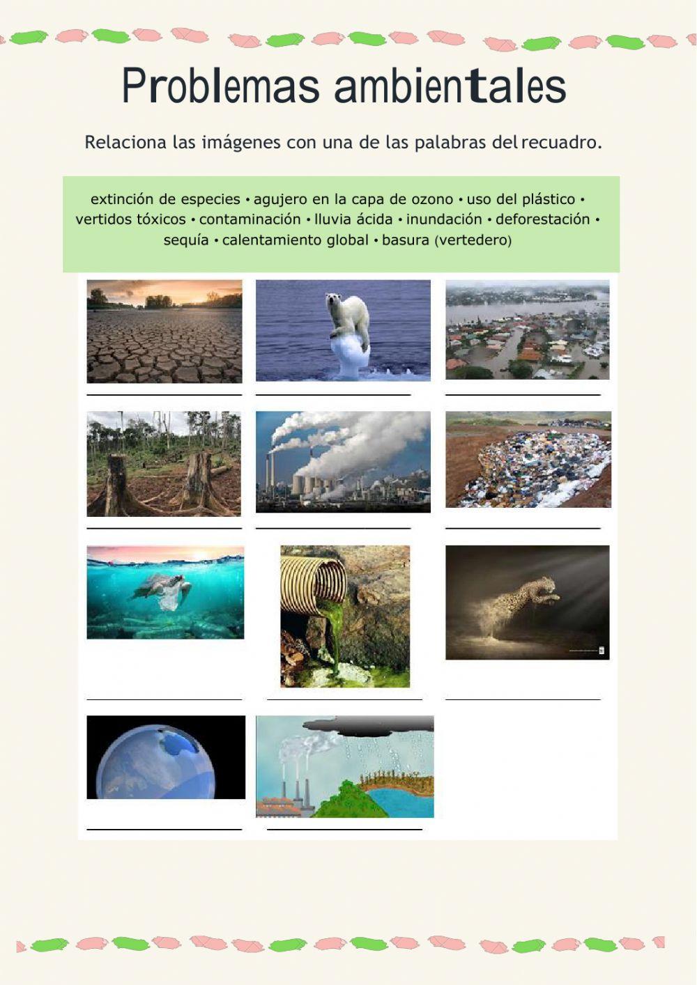 Problemas ambientales Problemas ambientales