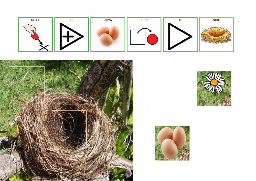 Metti dentro-fuori-sopra-sotto
