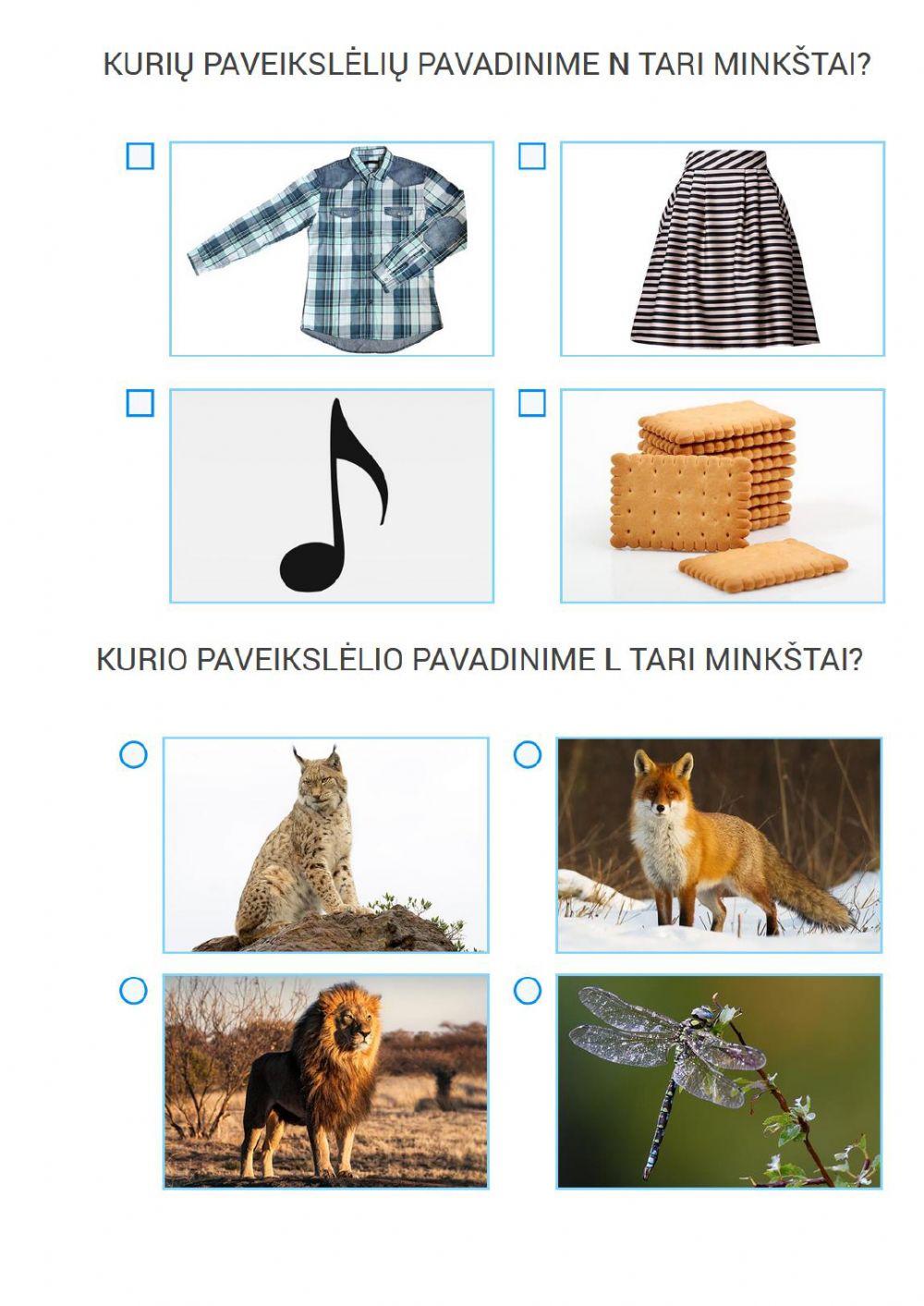 Žodžių su minkštumo ženklu i ir be jo tarimas
